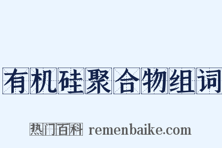 有机硅聚合物组词是什么意思的图片